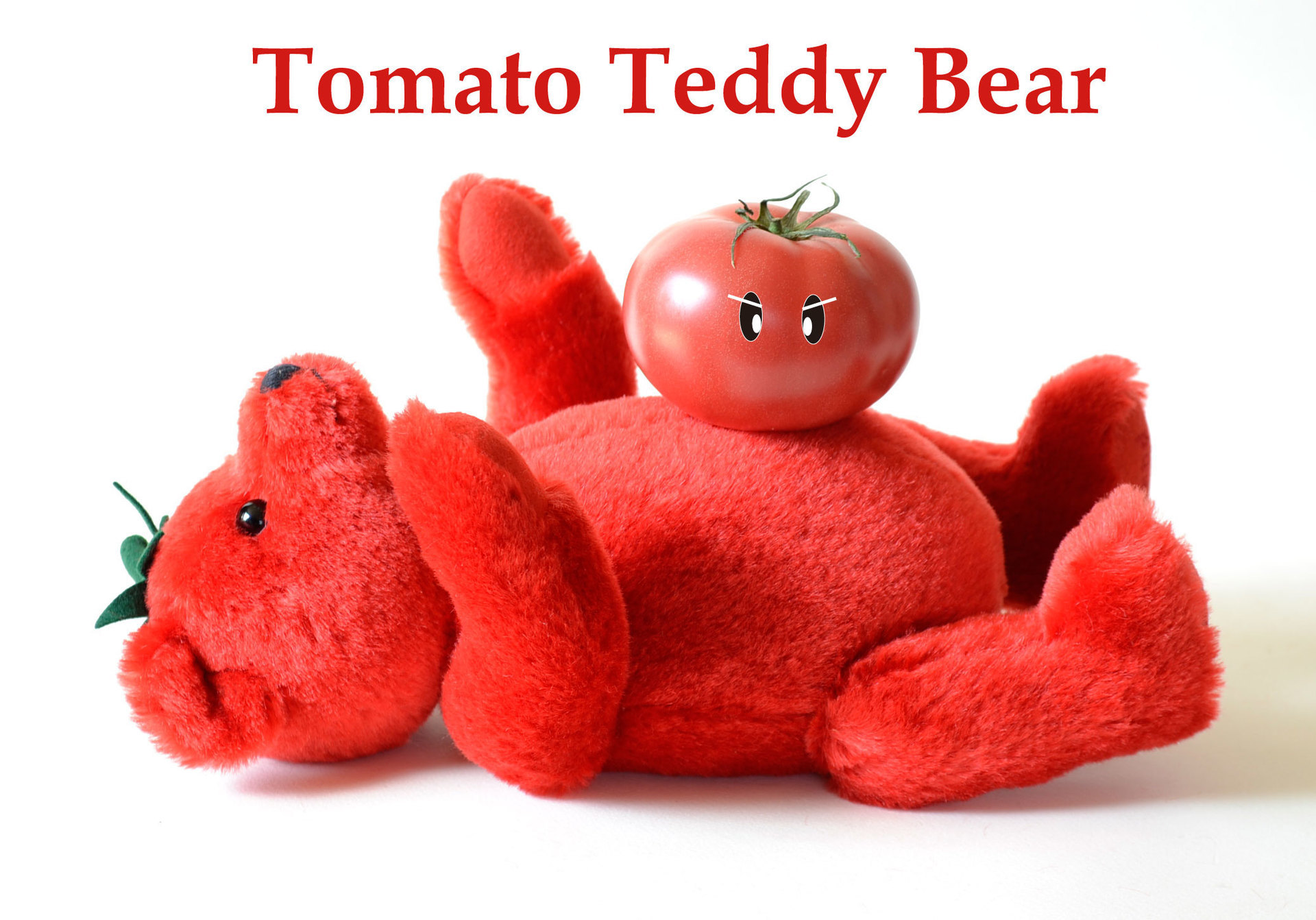 シュタイフ オランダ限定 Tomato Teddy Bear: Cochi.ka.ka (東風・か