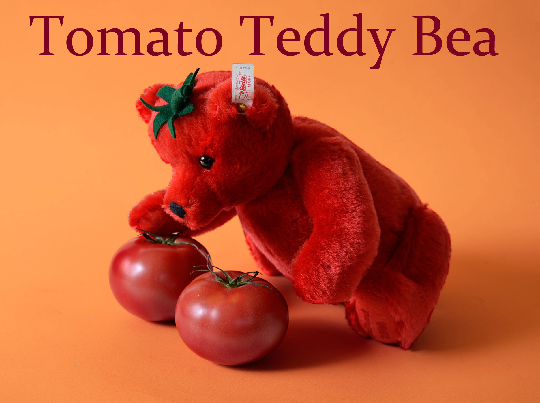 シュタイフ オランダ限定 Tomato Teddy Bear: Cochi.ka.ka (東風・か